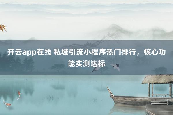 开云app在线 私域引流小程序热门排行,核心功能实测达标