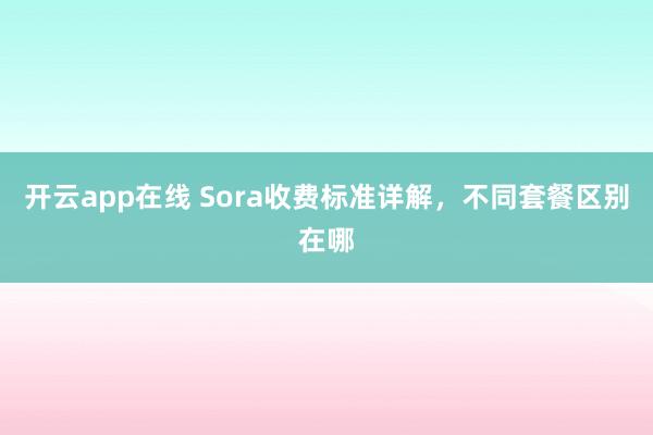开云app在线 Sora收费标准详解，不同套餐区别在哪