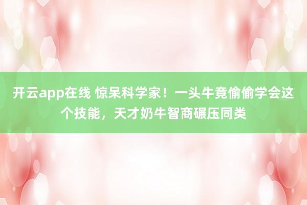 开云app在线 惊呆科学家!一头牛竟偷偷学会这个技能,天才奶牛智商碾压同类