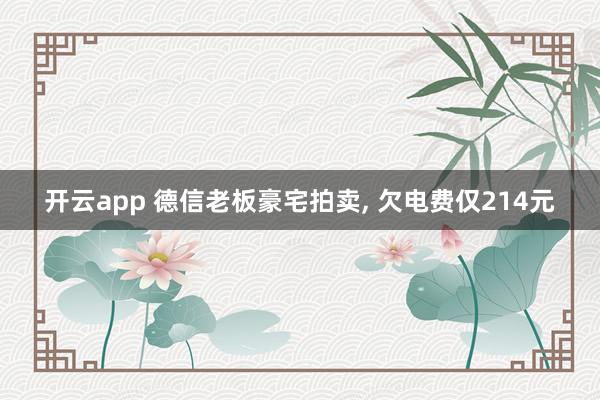 开云app 德信老板豪宅拍卖, 欠电费仅214元