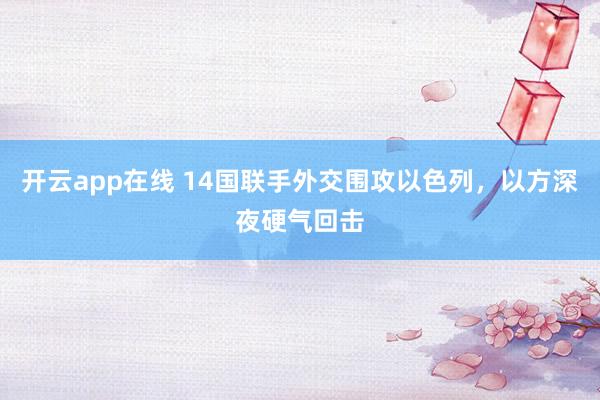 开云app在线 14国联手外交围攻以色列,以方深夜硬气回击