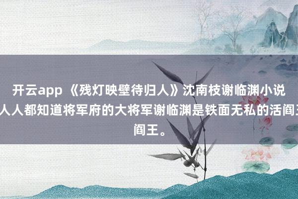 开云app 《残灯映壁待归人》沈南枝谢临渊小说:人人都知道将军府的大将军谢临渊是铁面无私的活阎王。