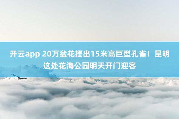 开云app 20万盆花摆出15米高巨型孔雀！昆明这处花海公园明天开门迎客